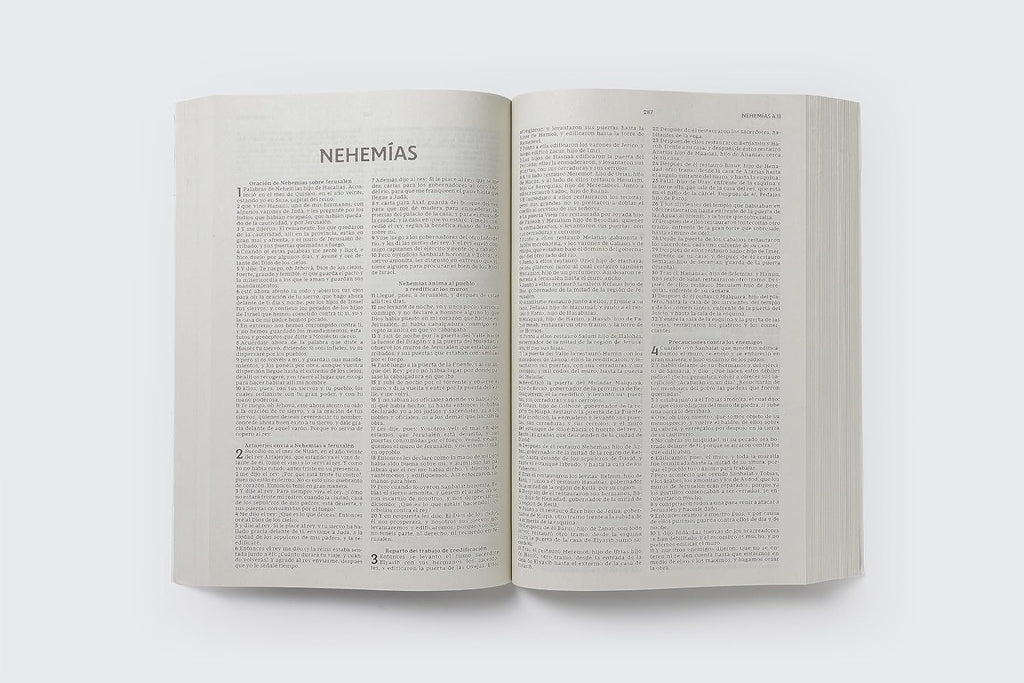 Pack 20/50/100 Biblias Reina-Valera 1977 – Edición Económica, Rústica, para Evangelismo