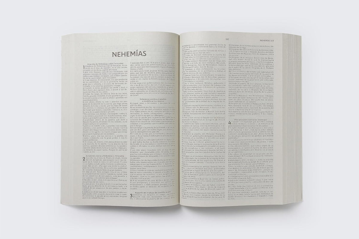 Pack 20/50/100 Biblias Reina-Valera 1977 – Edición Económica, Rústica, para Evangelismo
