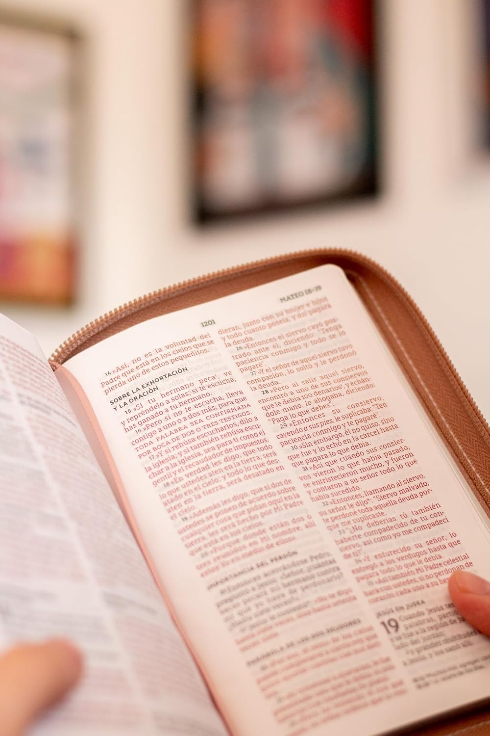 Biblia NBLA – Bolsillo, Edición Versificada, 2 Tonos Oro Rosa, Cremallera