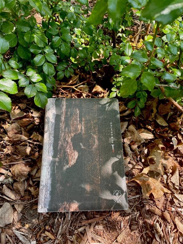 Biblia Nueva Traducción Viviente – Compacta, Letra Grande, 2 Tonos Madera
