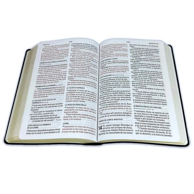 Biblia Reina-Valera 1960 – Manual, Letra Grande, Vinilo Negro