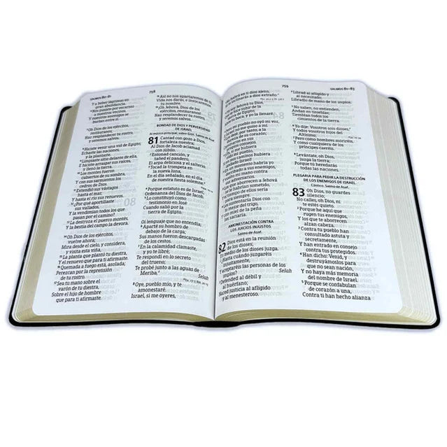 Biblia Reina-Valera 1960 – Manual, Letra Grande, Vinilo Negro