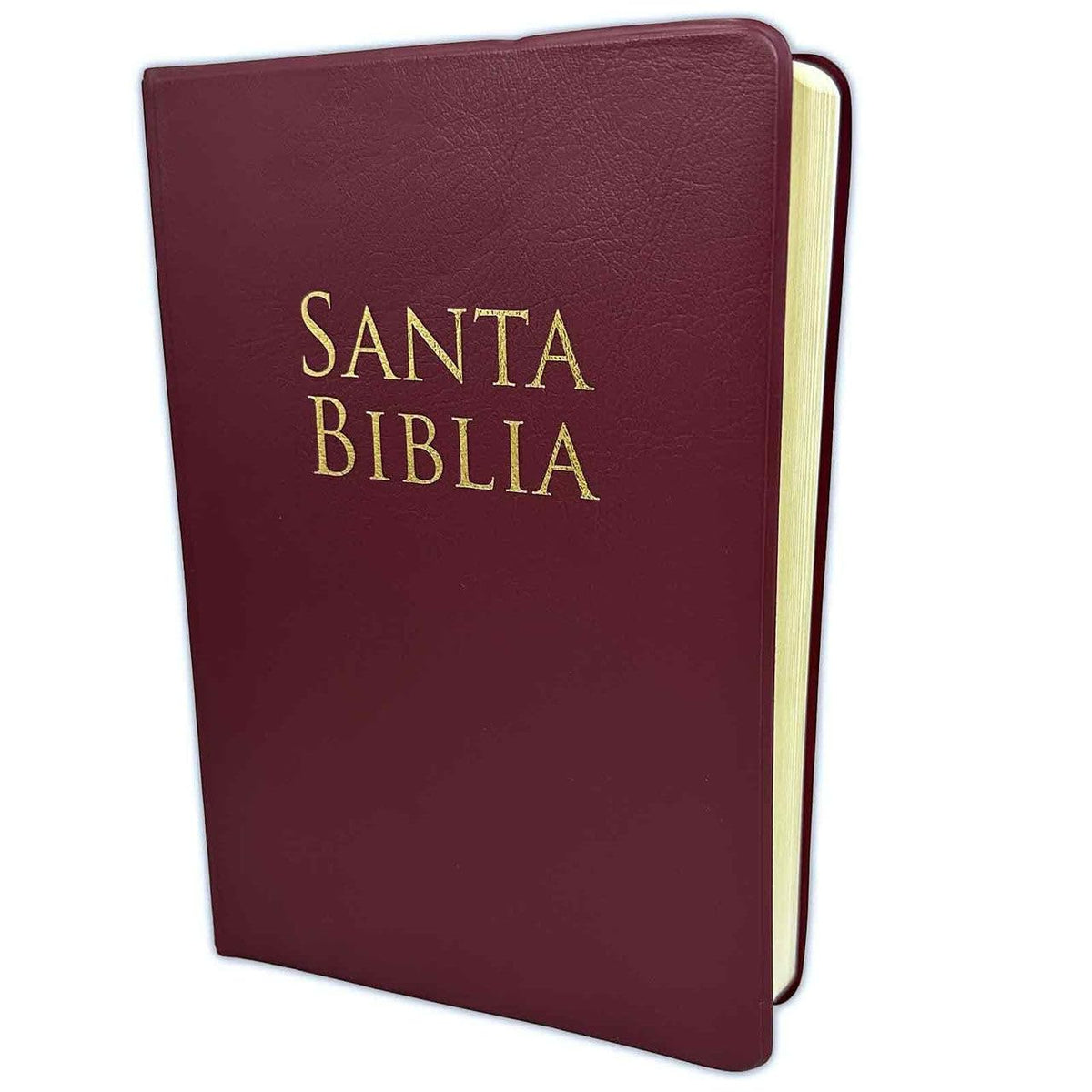 Biblia Reina-Valera 1960 – Manual, Letra Grande, Vinilo Rojito