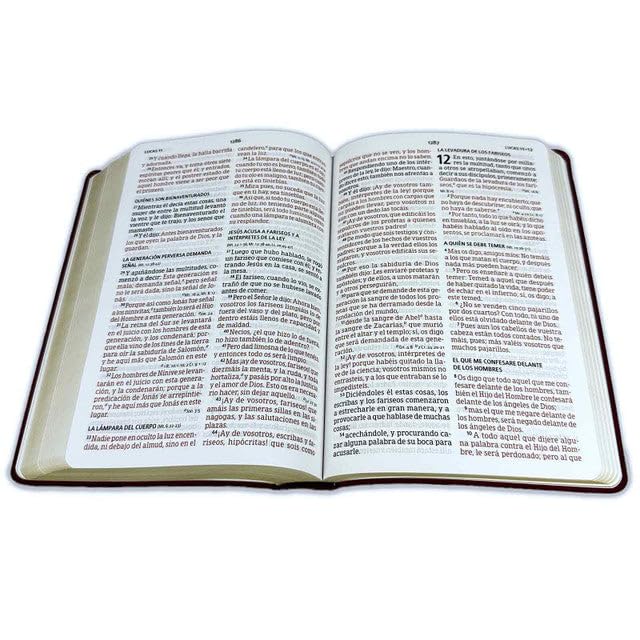Biblia Reina-Valera 1960 – Manual, Letra Grande, Vinilo Rojito