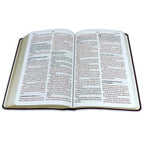 Biblia Reina-Valera 1960 – Manual, Letra Grande, Vinilo Rojito