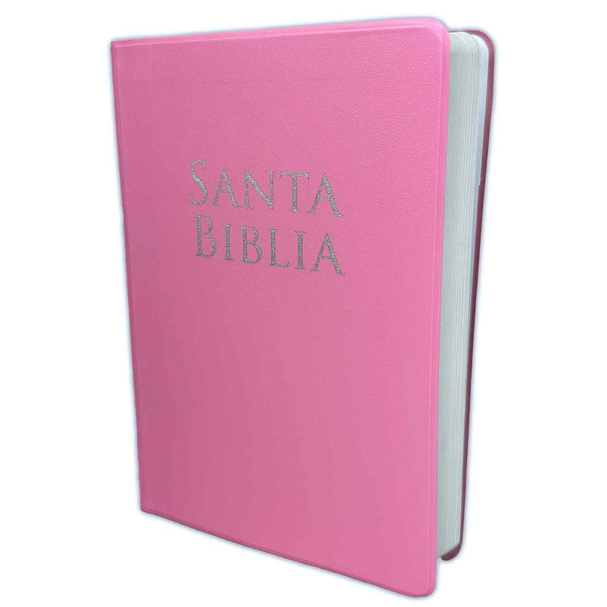 Biblia Reina-Valera 1960 – Manual, Letra Grande, Vinilo Rosa