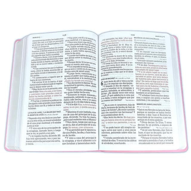 Biblia Reina-Valera 1960 – Manual, Letra Grande, Vinilo Rosa