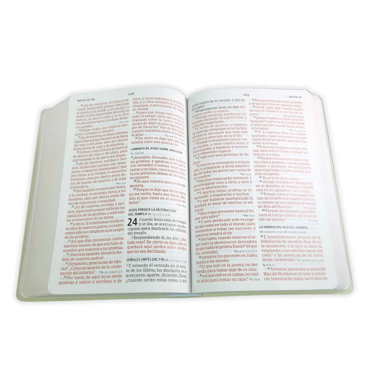 Biblia Reina-Valera 1960 – Manual, Letra Grande, Vinilo Blanco