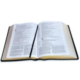 Biblia de Estudio del Diario Vivir RVR60 – Letra Grande, 2 Tonos Negro