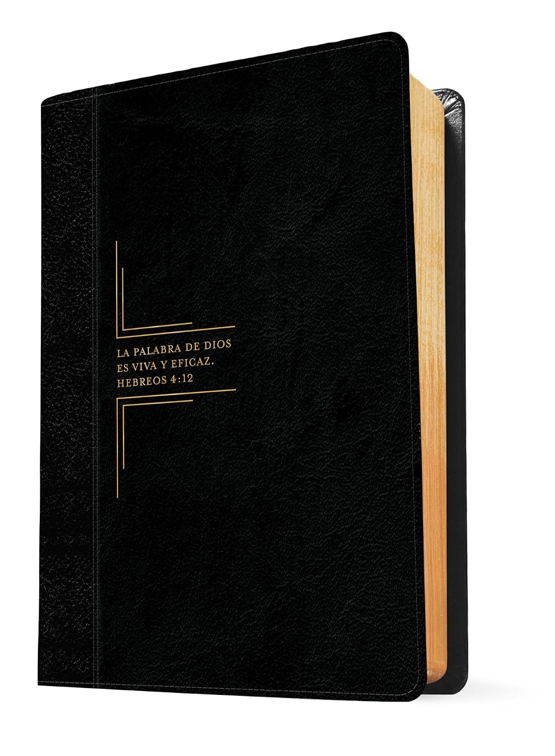Biblia de Estudio del Diario Vivir RVR60 – Letra Grande, 2 Tonos Negro