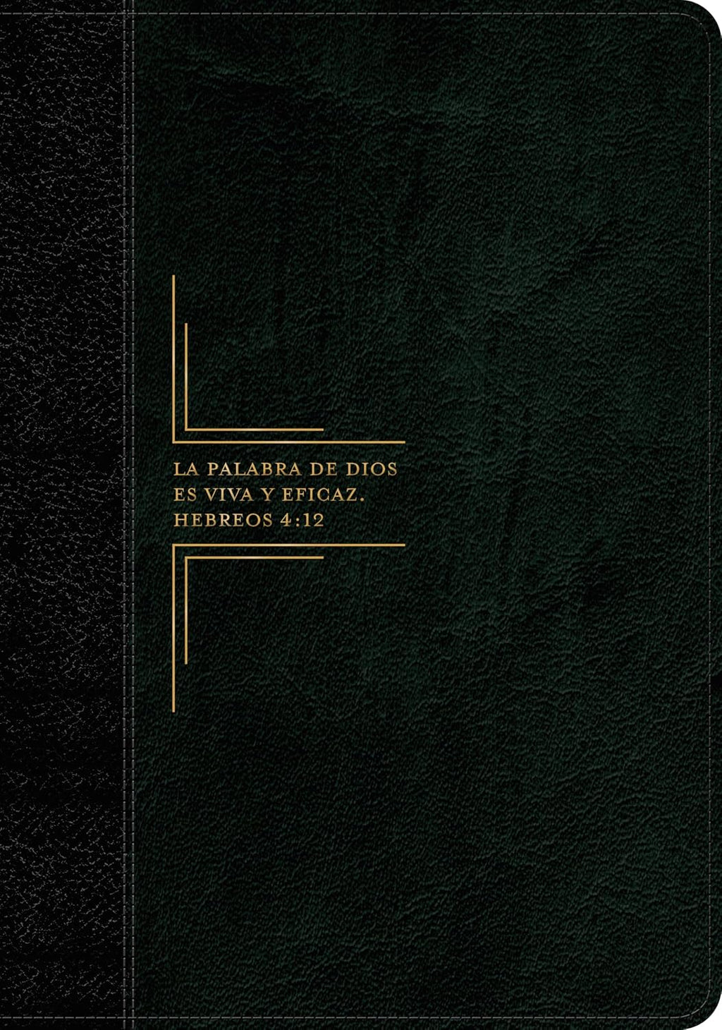Biblia de Estudio del Diario Vivir RVR60 – Letra Grande, 2 Tonos Negro, con Índice