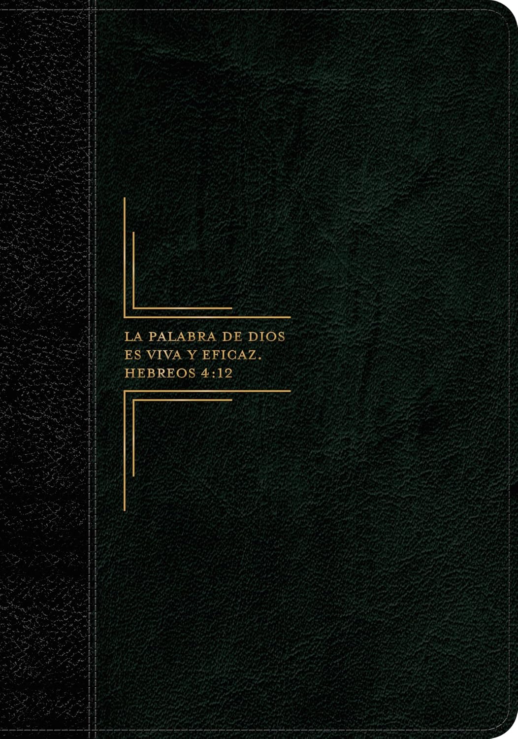 Biblia de Estudio del Diario Vivir RVR60 – Letra Grande, 2 Tonos Negro, con Índice