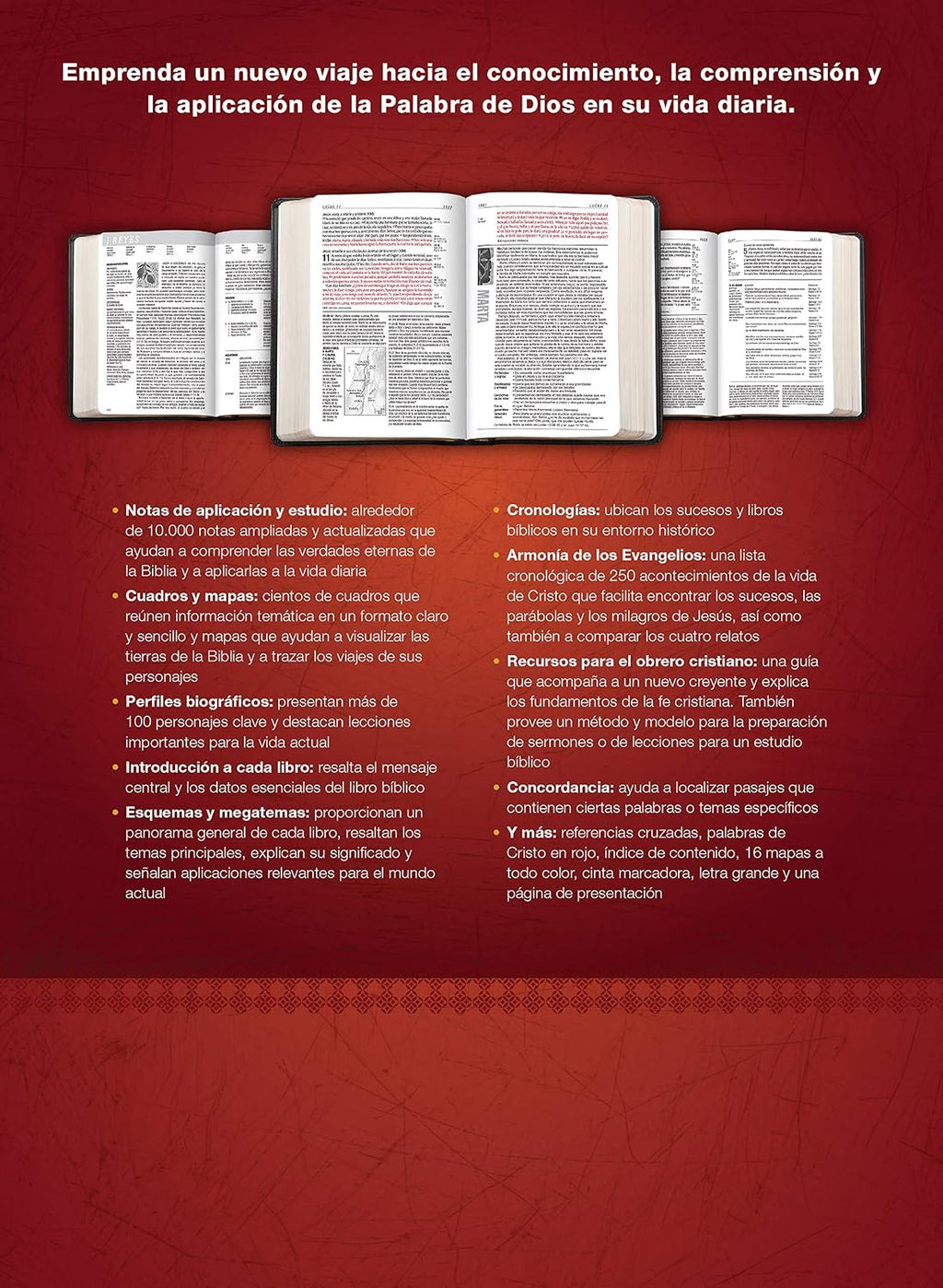 Biblia de Estudio del Diario Vivir RVR60 – Letra Grande, 2 Tonos Negro, con Índice