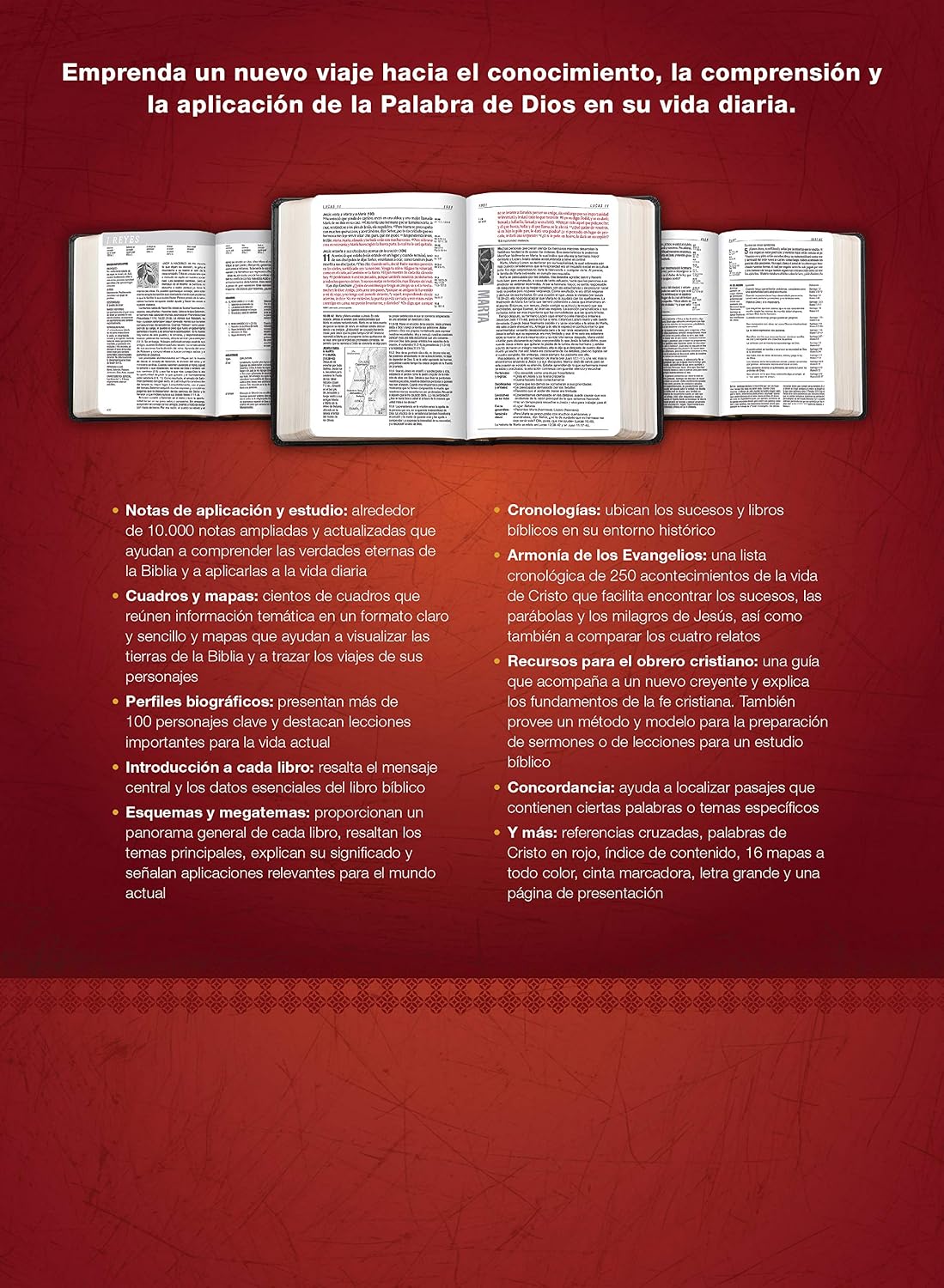 Biblia de Estudio del Diario Vivir RVR60 – Letra Grande, 2 Tonos Negro, con Índice