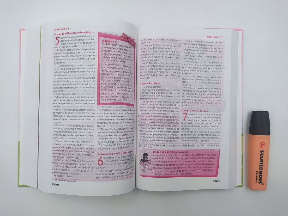 Biblia de Estudio de la Vida Plena para Niñas RVC · Tapa Dura Rosa