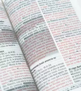 Biblia de Promesas RVR60 – Compacta, Rústica