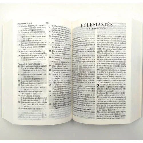 Biblia de Promesas RVR60 – Compacta, Rústica