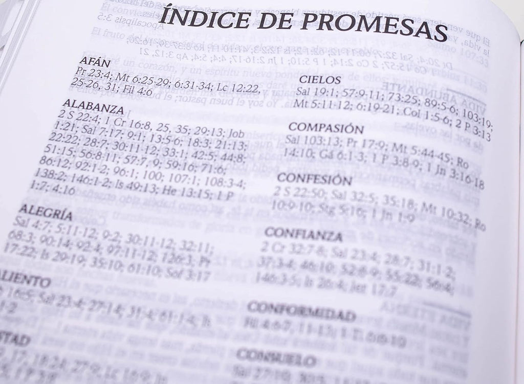 Biblia de Promesas RVR60 – CREMALLERA e INDICE - Grande, Letra Gigante 13 pt, Semipiel Turquesa 2 Tonos
