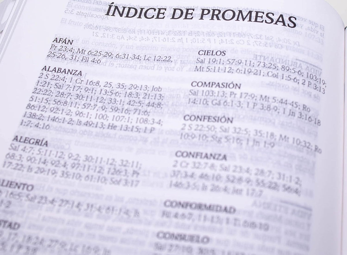 Biblia de Promesas RVR60 – CREMALLERA e INDICE - Grande, Letra Gigante 13 pt, Semipiel Turquesa 2 Tonos