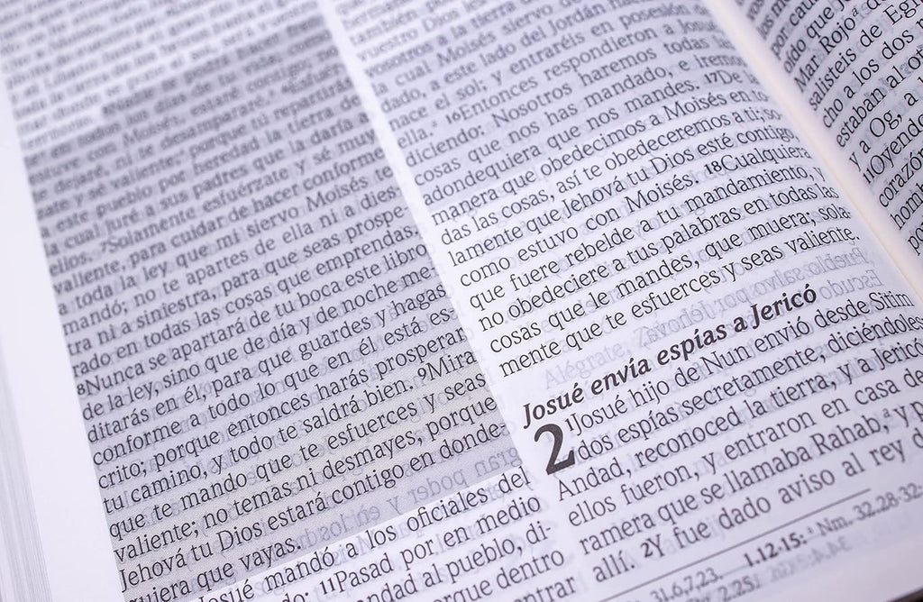 Biblia de Promesas RVR60 – CREMALLERA e INDICE - Grande, Letra Gigante 13 pt, Semipiel Turquesa 2 Tonos