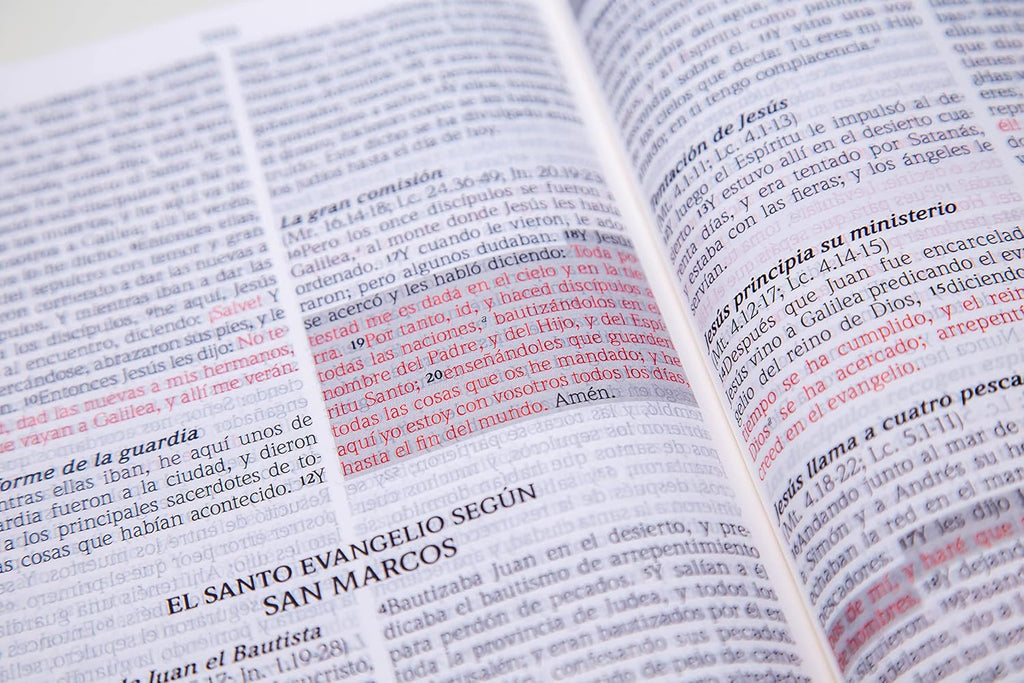 Biblia de Promesas RVR60 – CREMALLERA e INDICE - Grande, Letra Gigante 13 pt, Semipiel Turquesa 2 Tonos