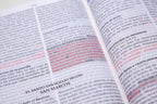 Biblia de Promesas RVR60 – CREMALLERA e INDICE - Grande, Letra Gigante 13 pt, Semipiel Turquesa 2 Tonos