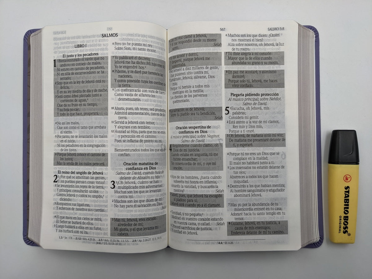 Biblia de Promesas RVR60 – Manual, Letra Grande 12 pt, Semipiel Lavanda 2 Tonos, NO Cremallera y NO Índice