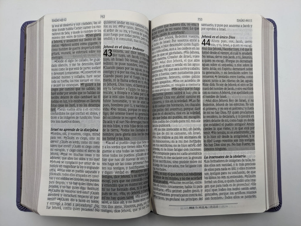 Biblia de Promesas RVR60 – Manual, Letra Grande 12 pt, Semipiel Lavanda 2 Tonos, NO Cremallera y NO Índice