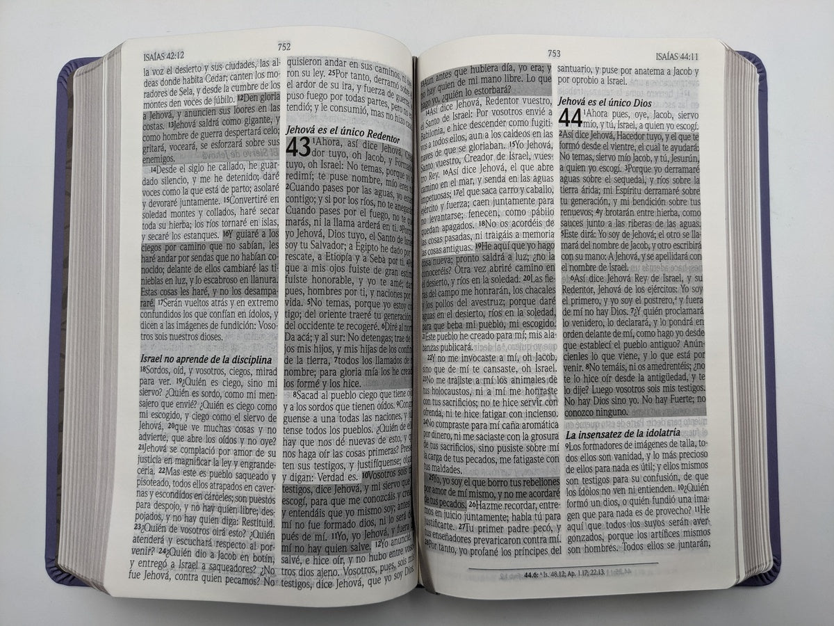 Biblia de Promesas RVR60 – Manual, Letra Grande 12 pt, Semipiel Lavanda 2 Tonos, NO Cremallera y NO Índice