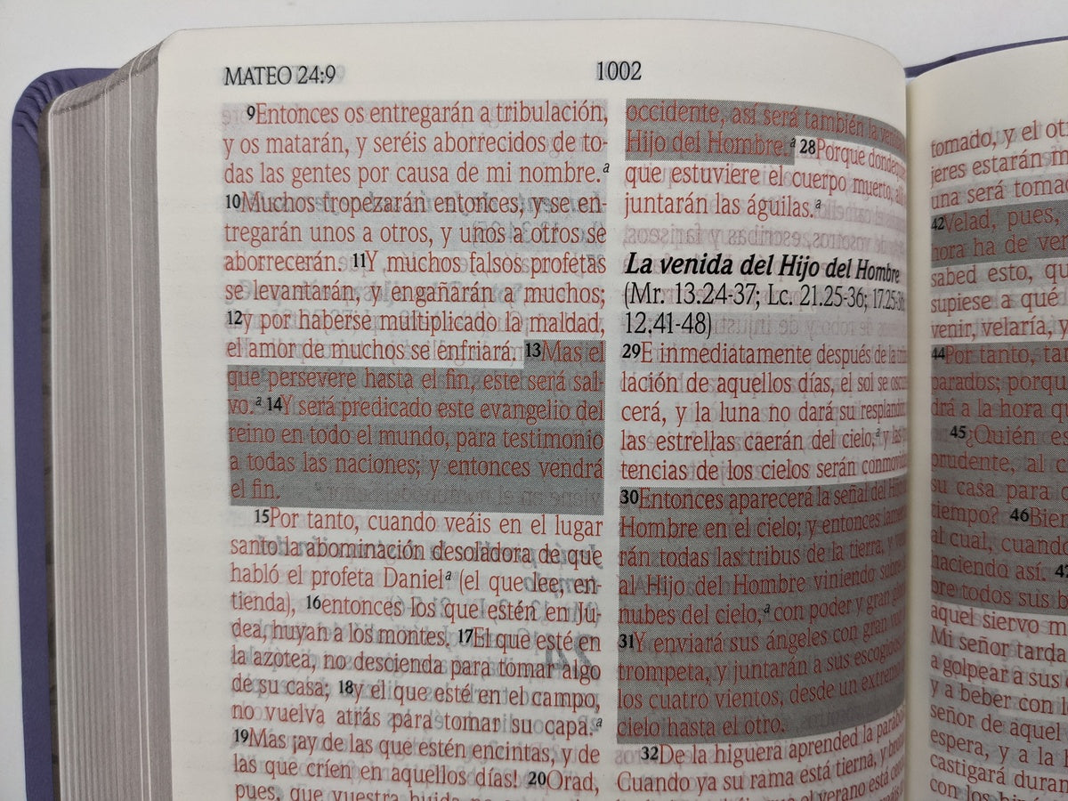 Biblia de Promesas RVR60 – Manual, Letra Grande 12 pt, Semipiel Lavanda 2 Tonos, NO Cremallera y NO Índice