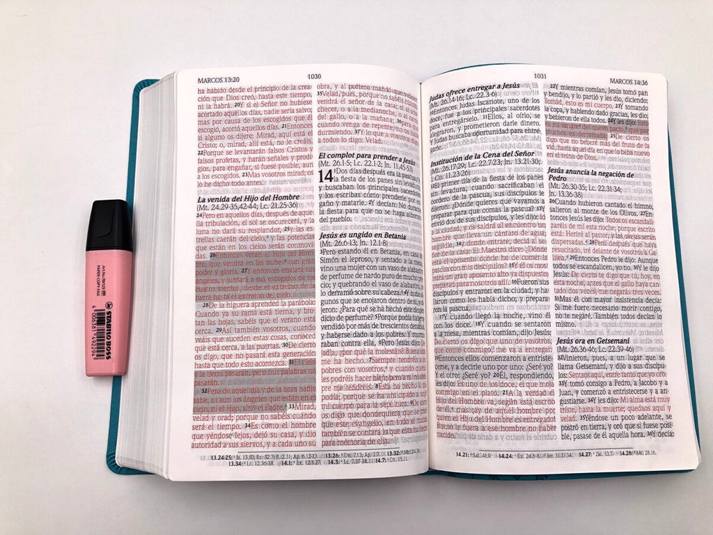 Biblia de Promesas RVR60 – Tamaño Grande, Letra Gigante, Turquesa