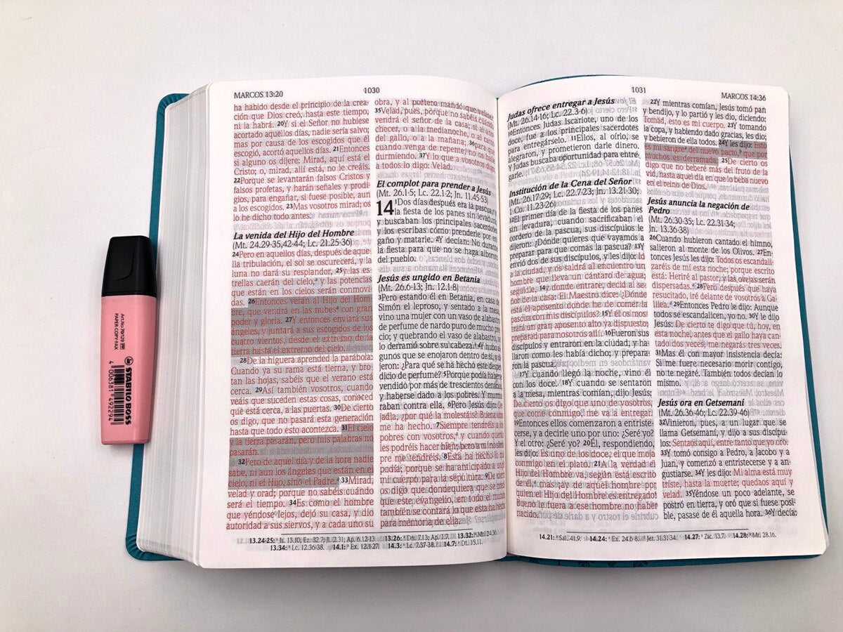 Biblia de Promesas RVR60 – Tamaño Grande, Letra Gigante, Turquesa