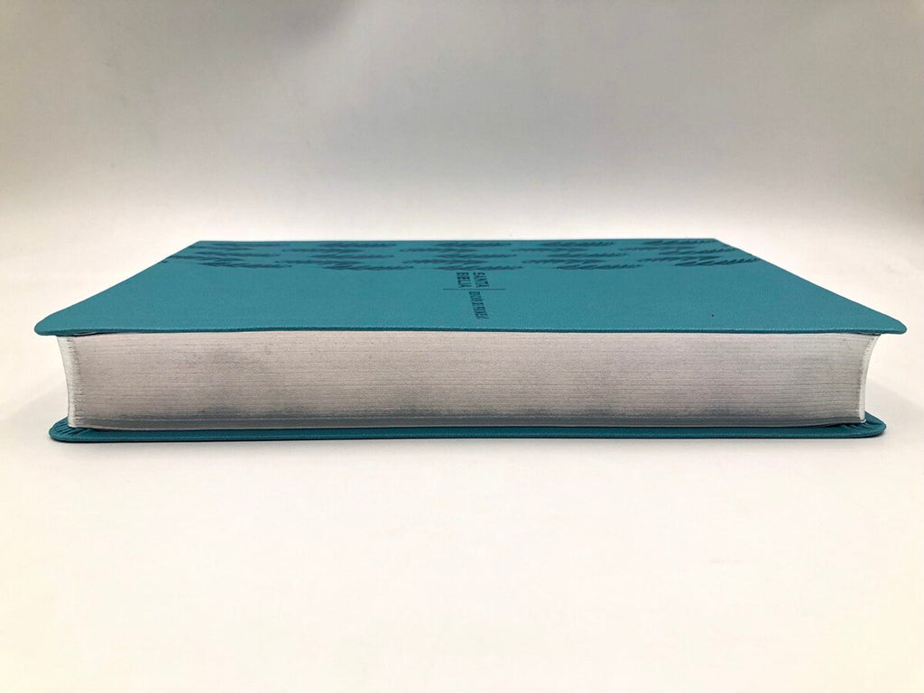 Biblia de Promesas RVR60 – Tamaño Grande, Letra Gigante, Turquesa
