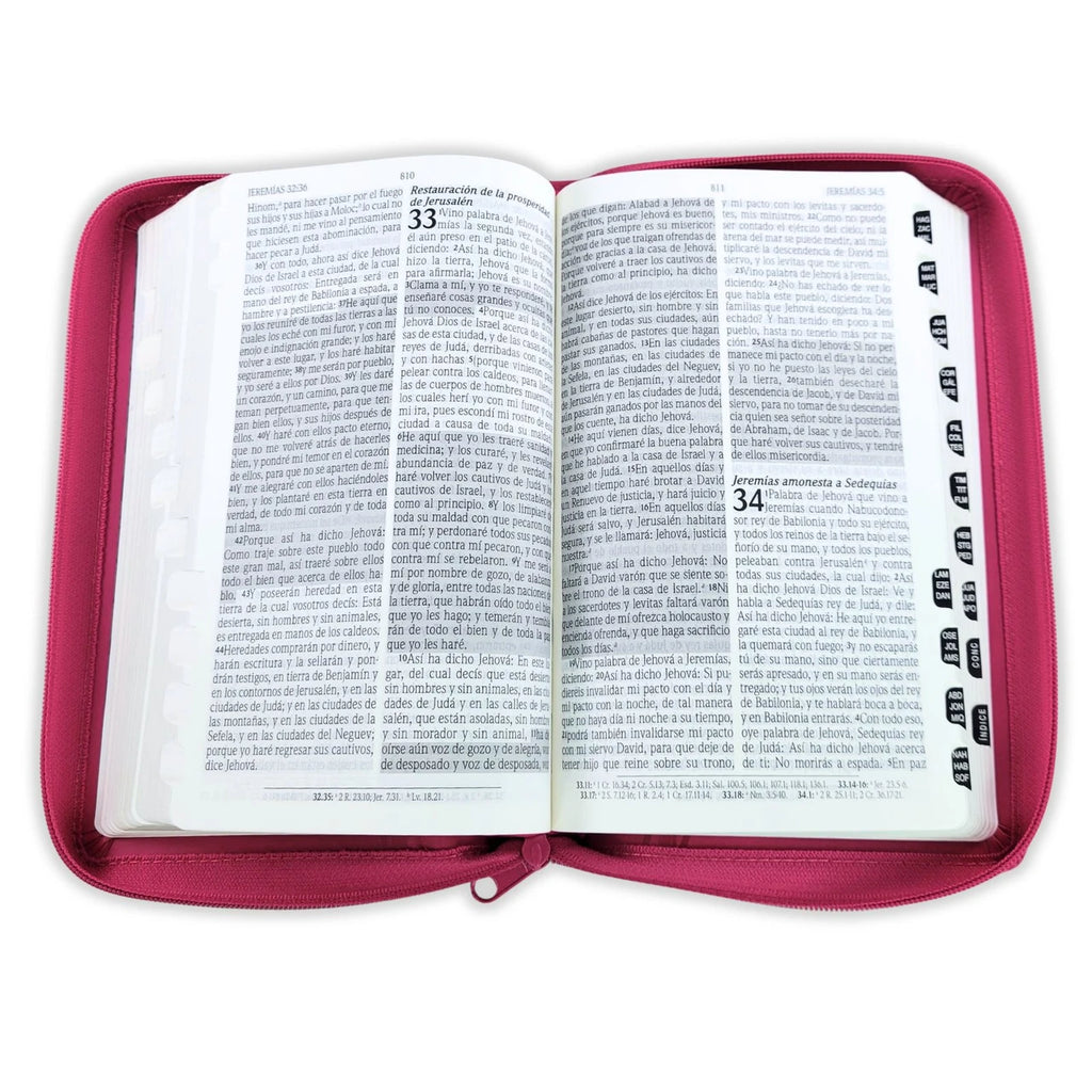 Biblia de Promesas RVR60 – Manual, Letra Grande, 2 tonos, Fucsia, Cremallera e Índice