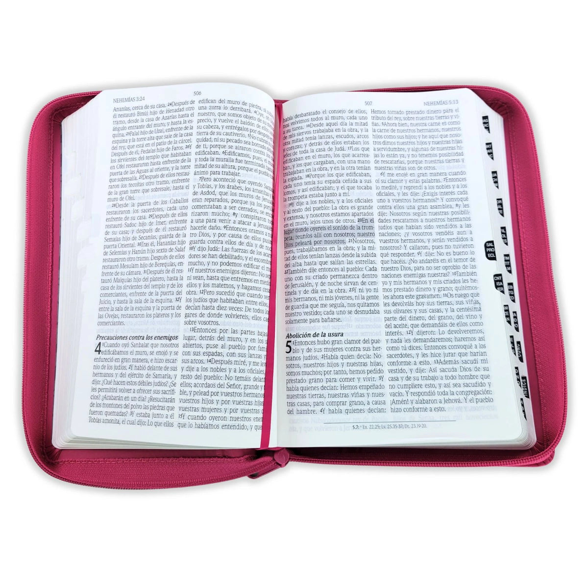 Biblia de Promesas RVR60 – Manual, Letra Grande, 2 tonos, Fucsia, Cremallera e Índice