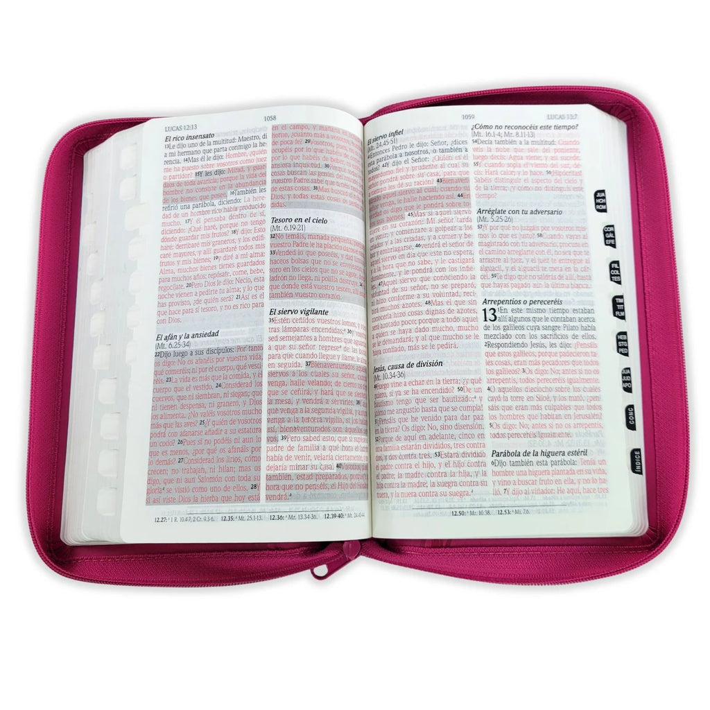 Biblia de Promesas RVR60 – Manual, Letra Grande, 2 tonos, Fucsia, Cremallera e Índice