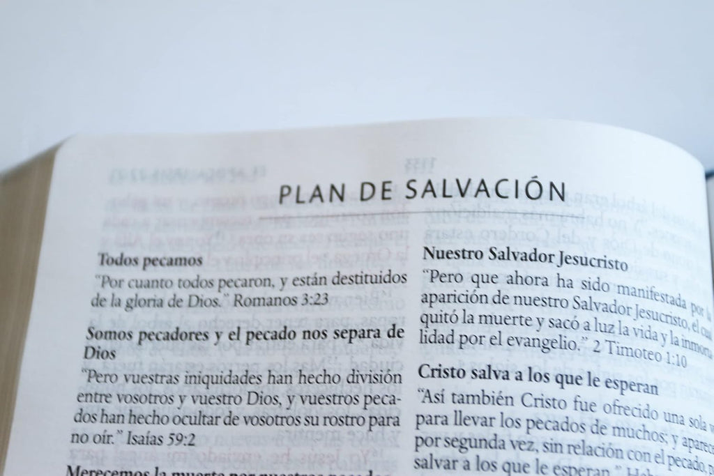 Biblia edicion NOMBRES DE DIOS . Letra grande, marron
