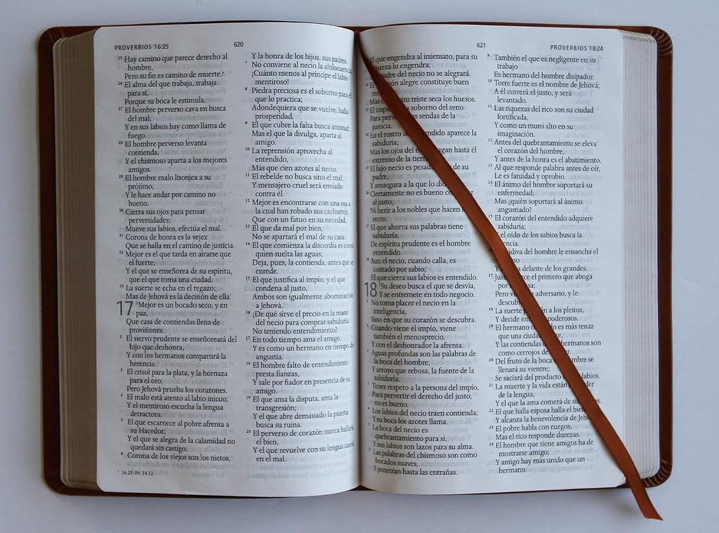 Biblia edicion NOMBRES DE DIOS . Letra grande, marron