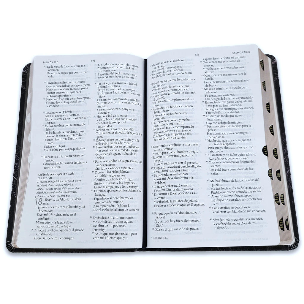 Biblia Reina-Valera 1960 – VINILO,Manual,  Letra Grande, Ultrafina, Edición León de Judá, Índice