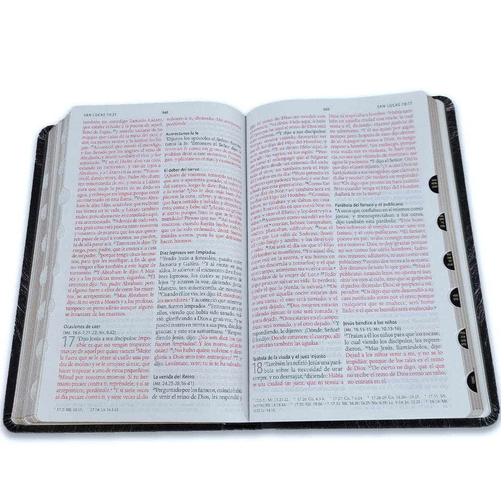 Biblia Reina-Valera 1960 – VINILO,Manual,  Letra Grande, Ultrafina, Edición León de Judá, Índice