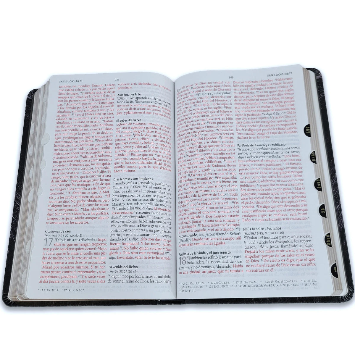 Biblia Reina-Valera 1960 – VINILO,Manual,  Letra Grande, Ultrafina, Edición León de Judá, Índice