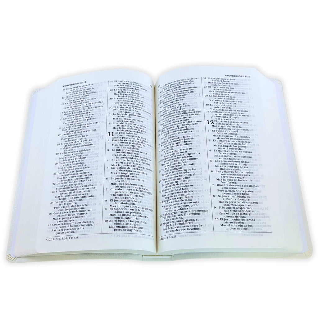 Biblia para Regalos y Premios RVR60 · Imitación Piel Blanca
