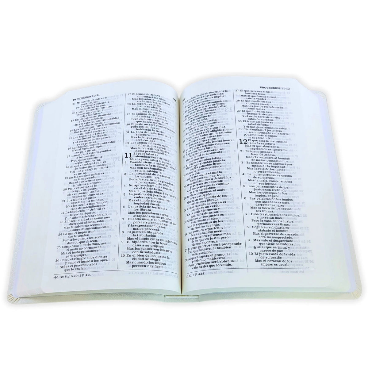 Biblia para Regalos y Premios RVR60 · Imitación Piel Blanca