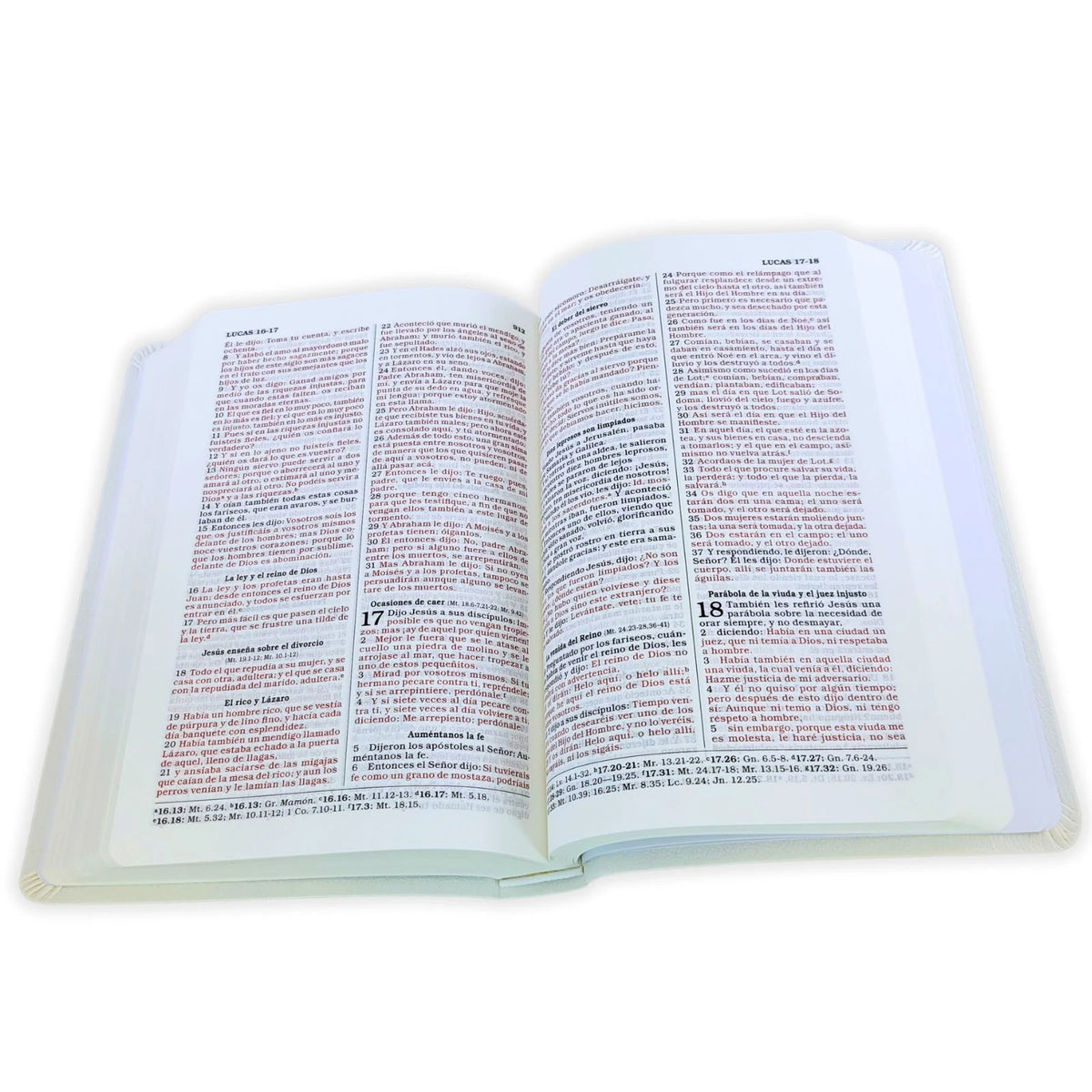 Biblia para Regalos y Premios RVR60 · Imitación Piel Blanca