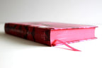 Biblia Reina-Valera 1960 – NO INDICE .Tapa Dura , Manual, Letra Grande, Ultrafina, León de Judá Rosa,Rosa