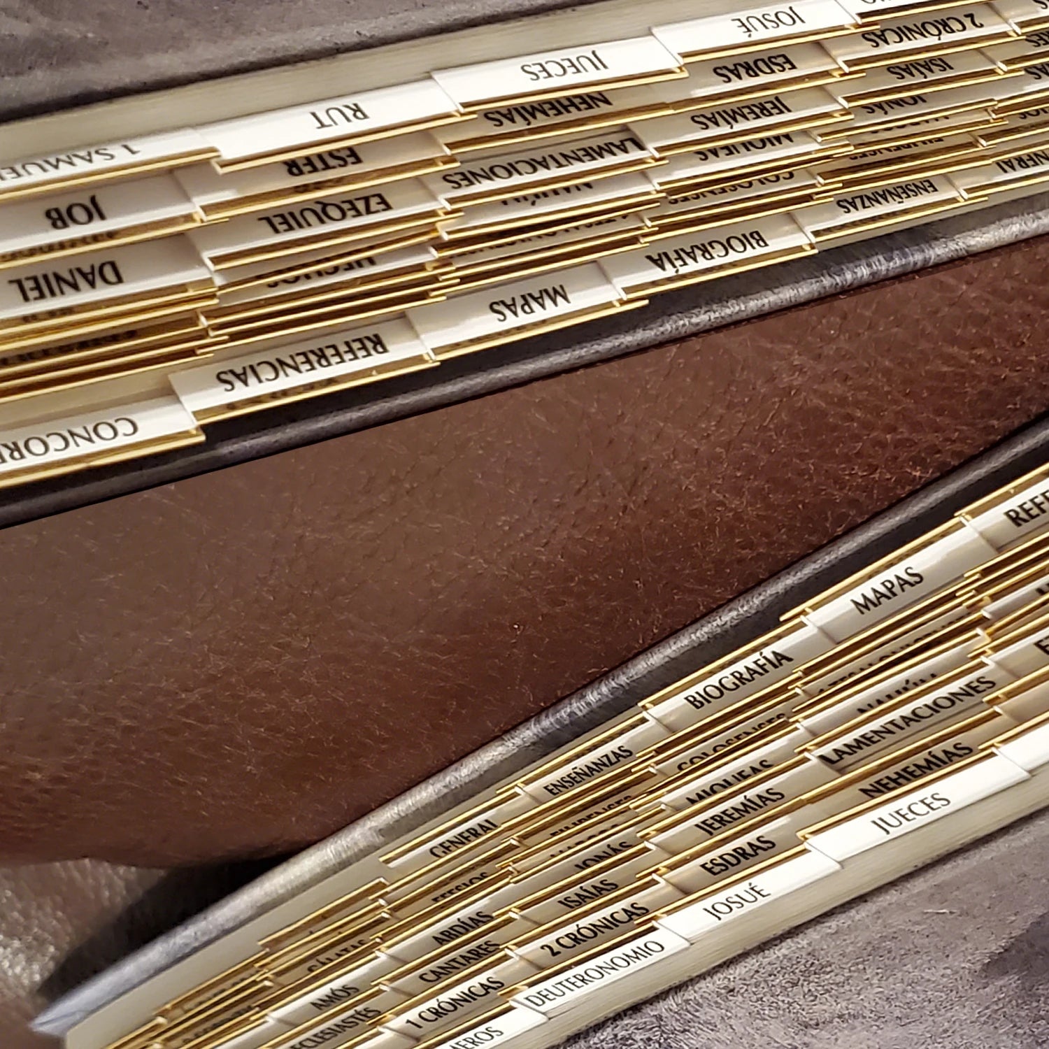 Indexadores de Biblia con Bordes Dorados en Español