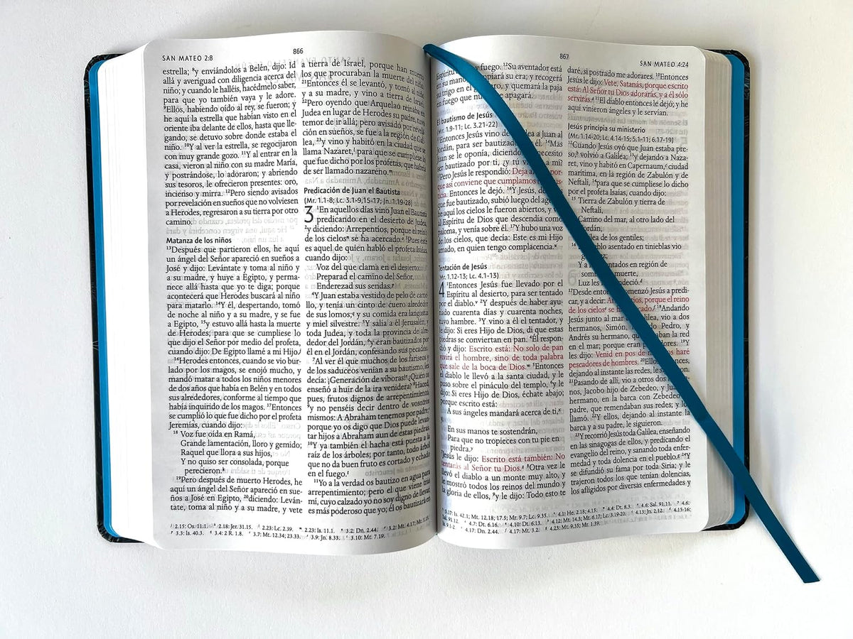 Biblia Reina-Valera 1960 – NO INDICE .Tapa Dura Entelada ,Manual, Letra Grande, Ultrafina, León Aguamarina