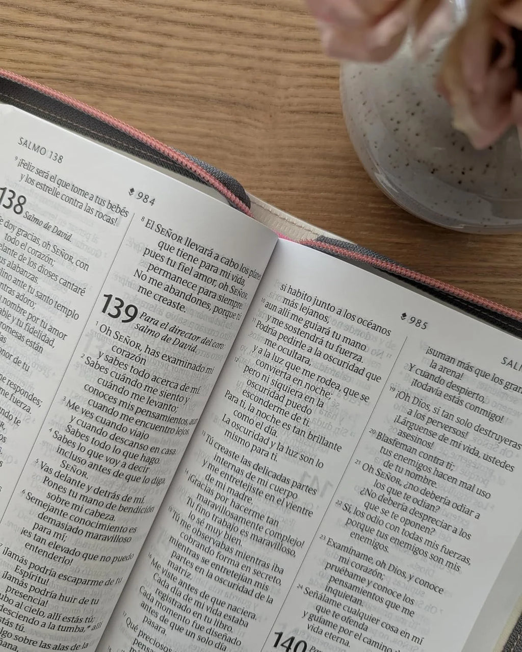 Biblia Reina-Valera 1960 – NO INDICE .Tapa Dura,Manual, Letra Grande, Ultrafina, Edición León de Judá,