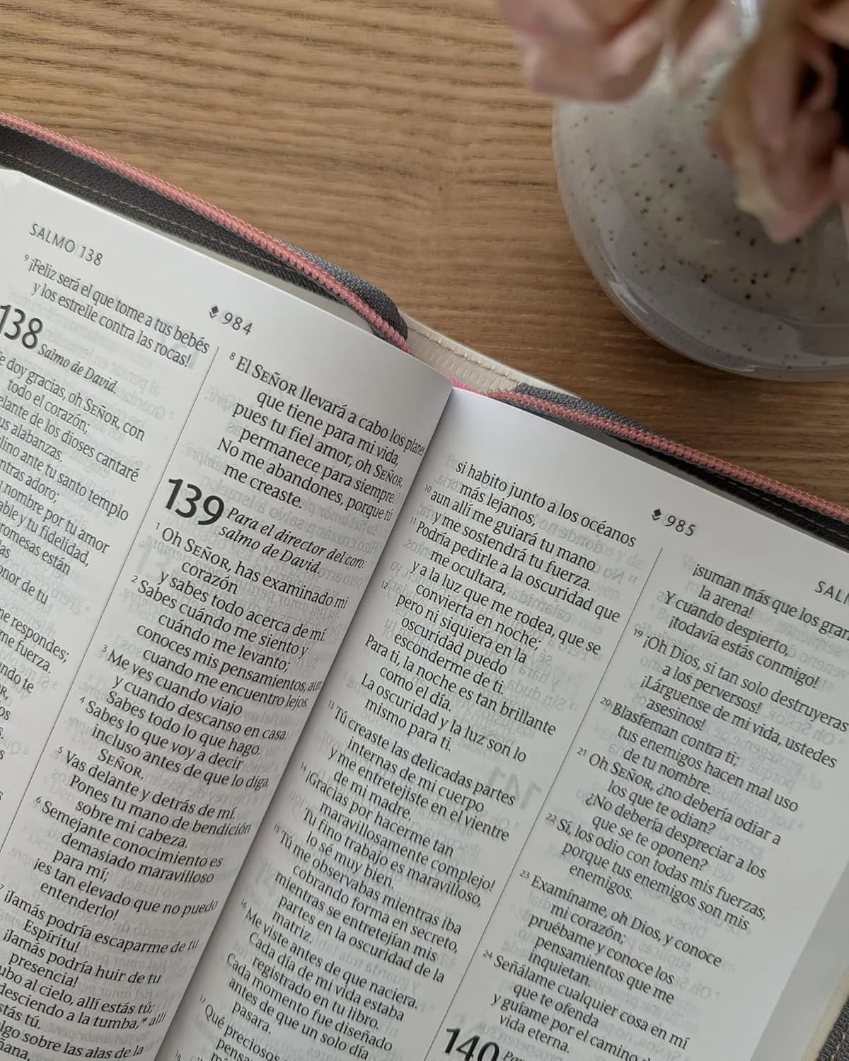 Biblia Reina-Valera 1960 – NO INDICE .Tapa Dura,Manual, Letra Grande, Ultrafina, Edición León de Judá,