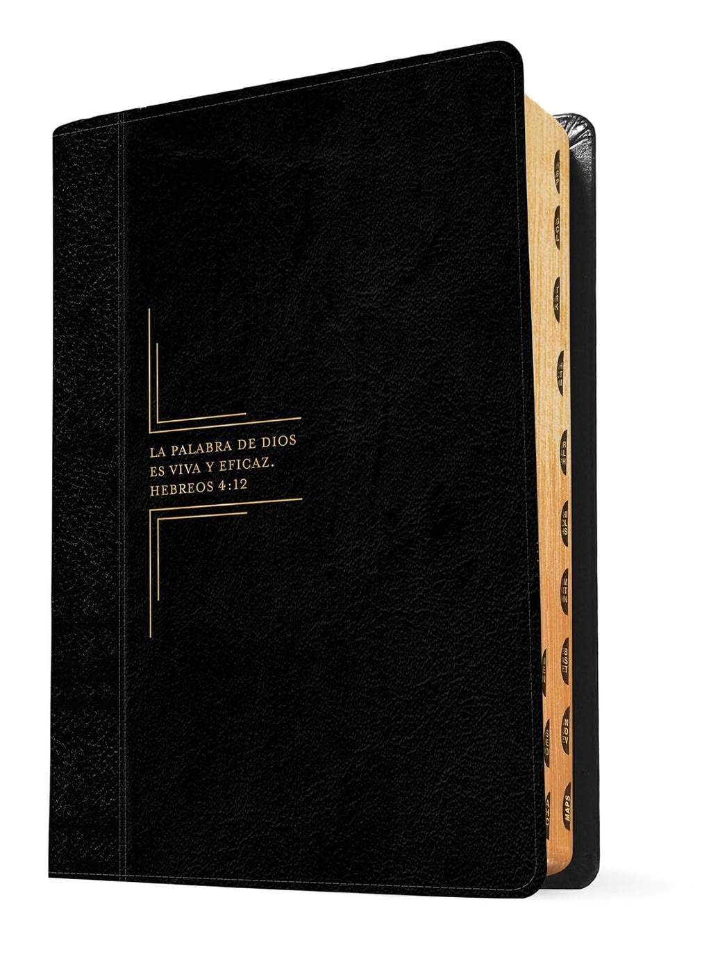 Biblia de Estudio del Diario Vivir RVR60 – Letra Grande, 2 Tonos Negro, con Índice